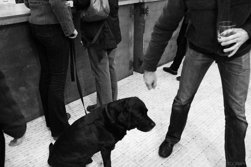 Everyone is welcome at the Cambridge Beer festival